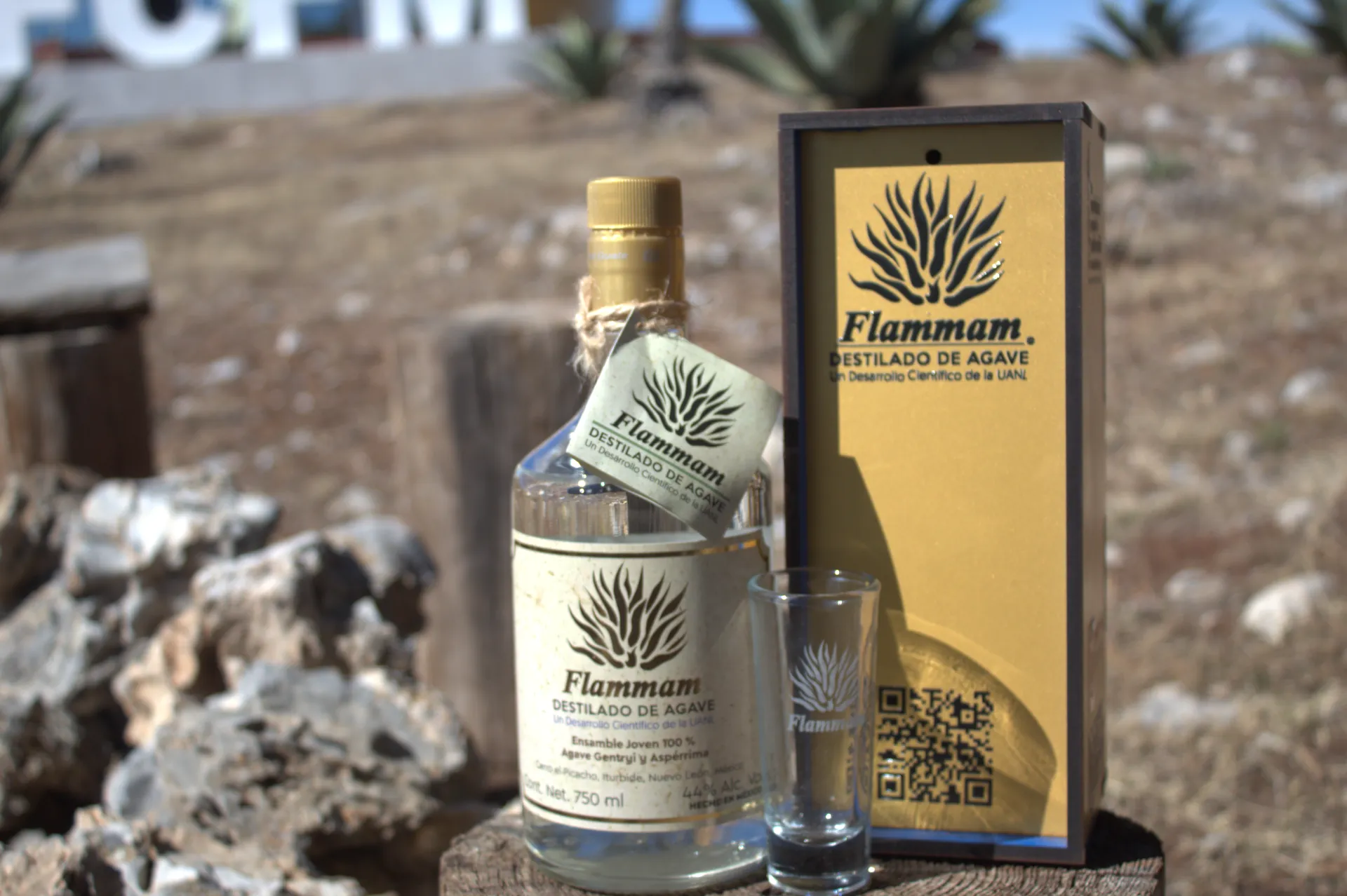 Botella Flammam 750ml con caja y caballito