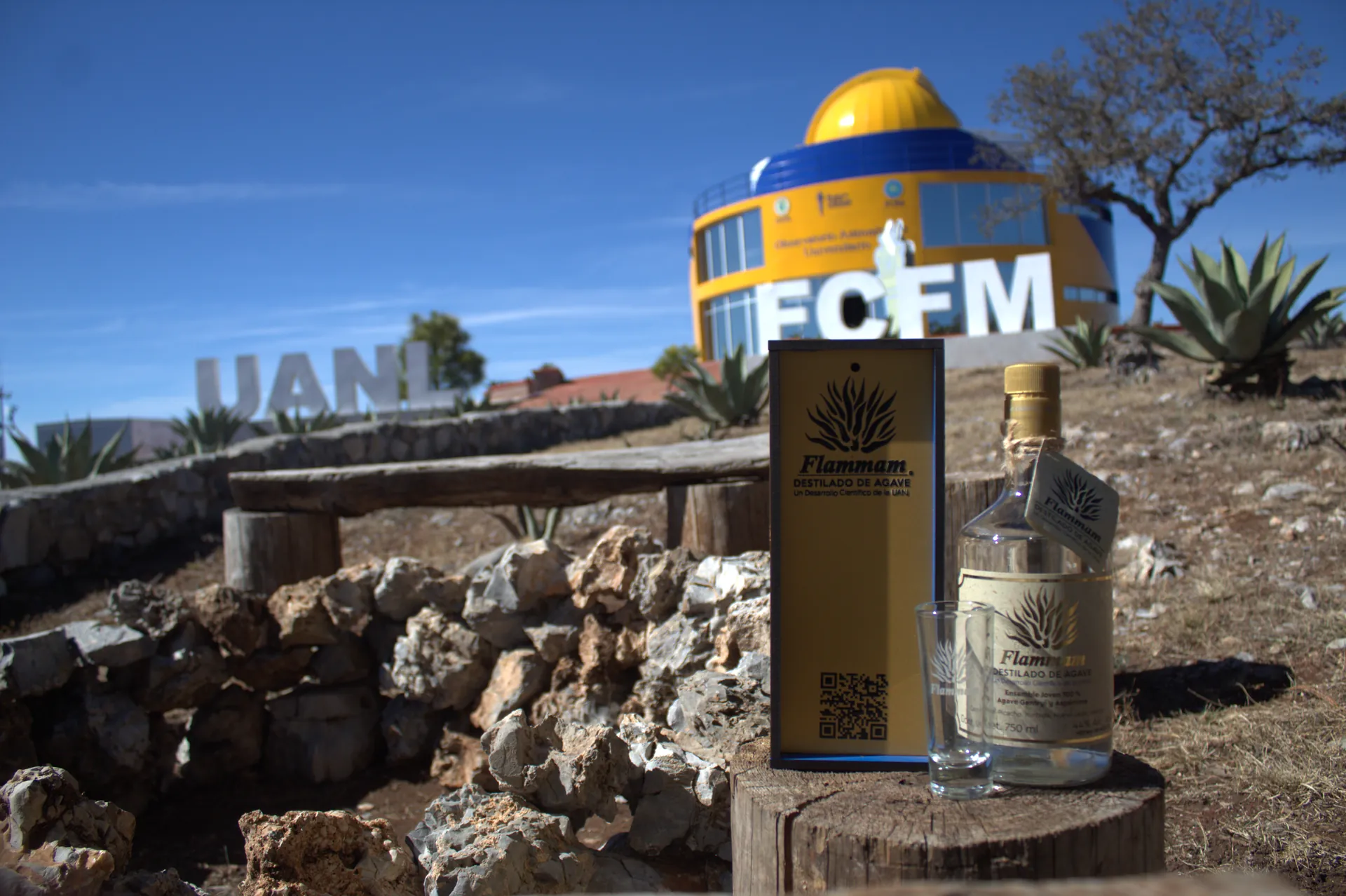 Flammam en el Observatorio FCFM UANL, rodeado de agaves