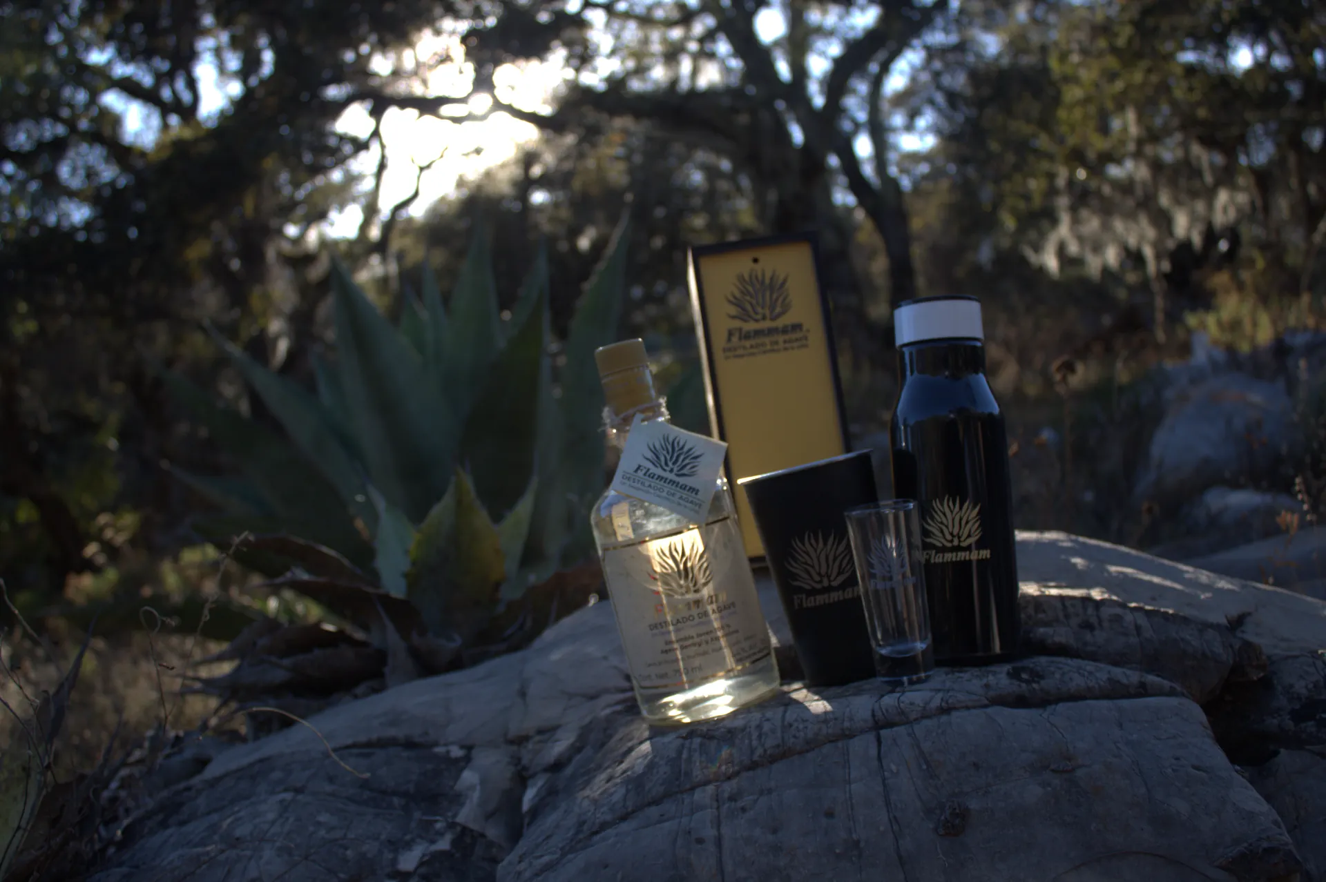 Colección Flammam en la sierra con agave silvestre